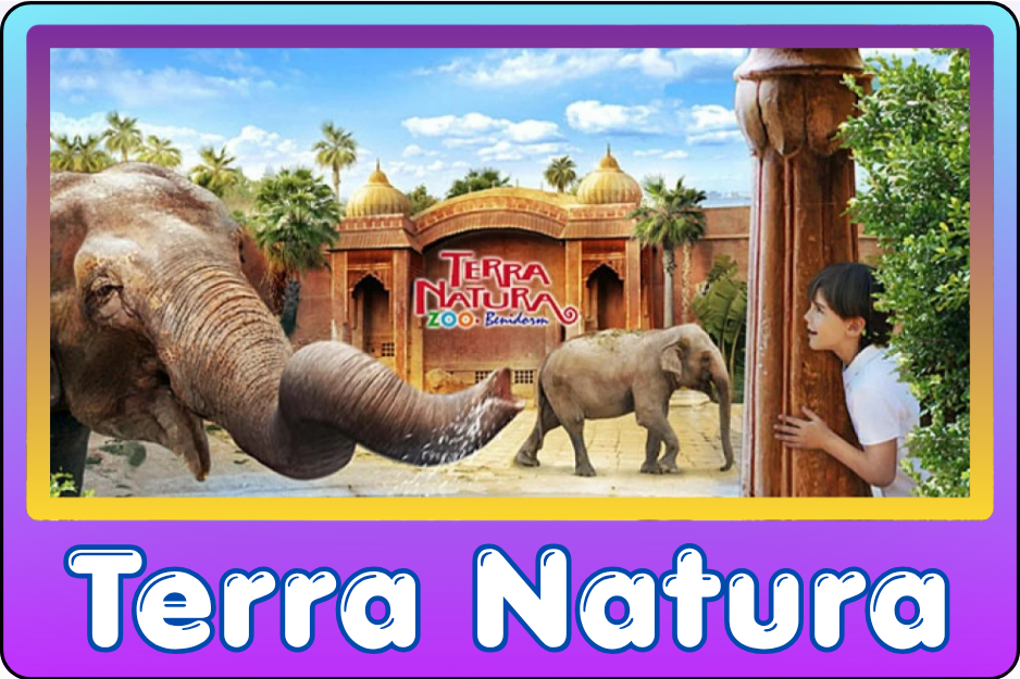 Benidorm Local - Terra Natura